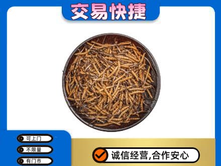 太原礼品回收虫草.jpg